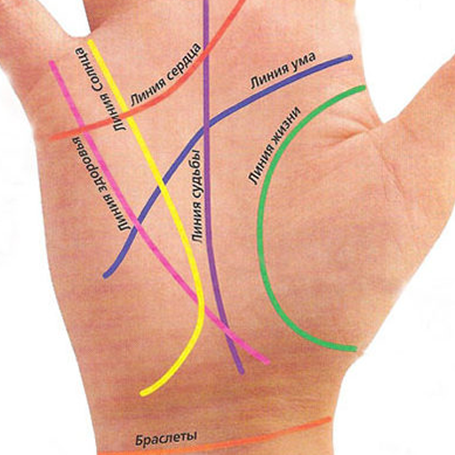 Значение линии жизни. Советы