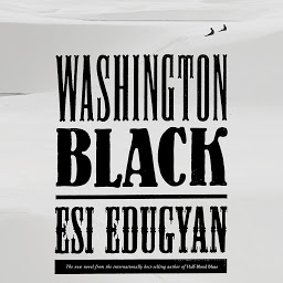 Icon image Washington Black: A novel