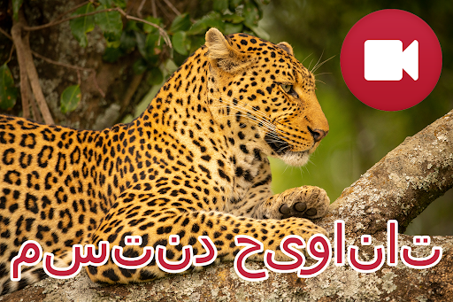 پیش نمایش برنامه