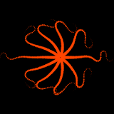 Live Wallpaper - Medusa icon
