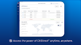 screenshot of CitiDirect