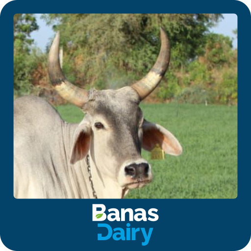 Banas Veterinary Seva logo