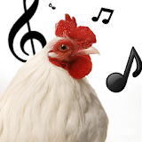 GoGo Chicken icon