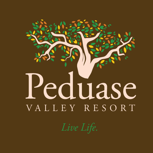 Peduase Valley Resort logo