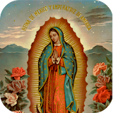 Virgen de Guadalupe de Noche icon