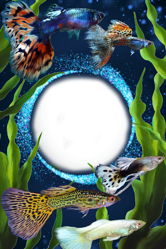Download Guppy Fishs Photo Frames Free for Android - Guppy Fishs Photo  Frames APK Download 