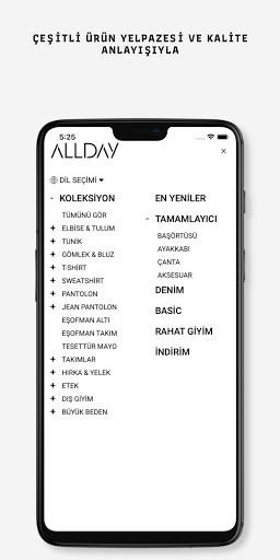 Allday Screen 2