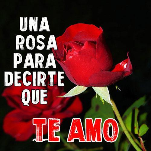 Download Rosas con Frases Romanticas Free for Android - Rosas con Frases  Romanticas APK Download 