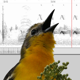 Icon image Bird Vocs Learn Bird Sounds
