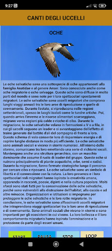 Il canto degli uccelli Screen 3