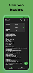 Ethwork: Netstat & Interfaces Screenshot