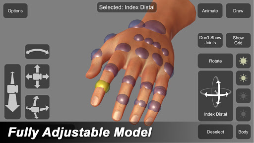 Hand Mannequin Screen 2