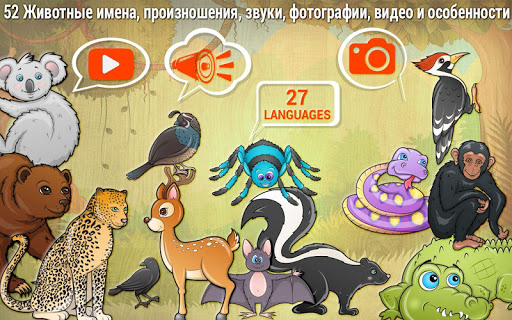 Предварительный просмотр приложения