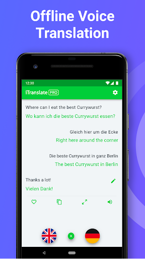 iTranslate Language Translator