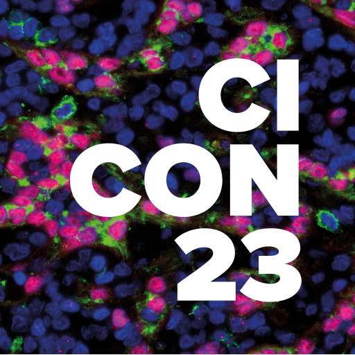 CICON23 1.0 Icon