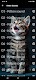 screenshot of Cats sounds