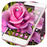 Lovely Pink Rose Blossom Theme  Icon
