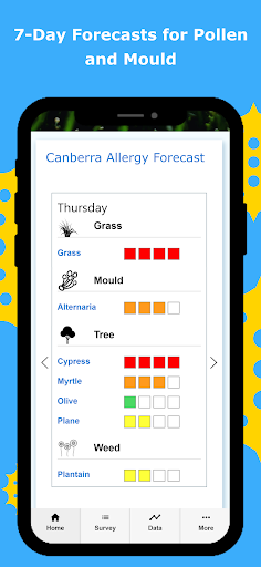 Canberra Pollen Count Screen 3