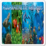 Aquamarine live wallpapers icon