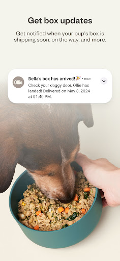 Ollie - Human Grade Dog Food Screen 2