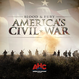تصویر نماد Blood and Fury: America's Civil War