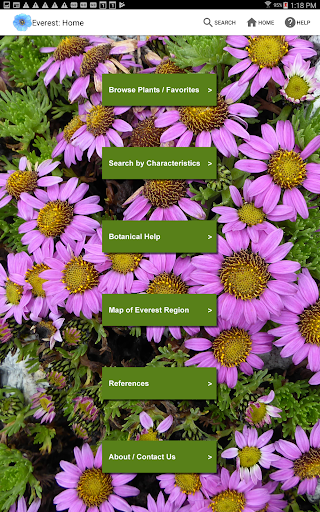 Screenshot of Wildflowers of Mount Everest
