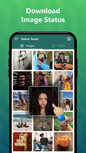 Status Saver - Video Download Screen 2