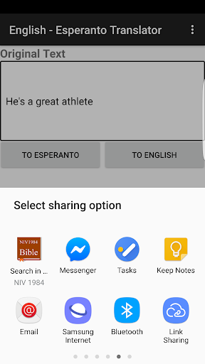 English - Esperanto Translator Screen 3