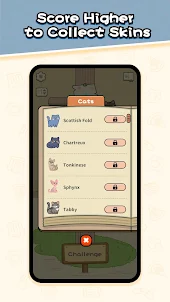 Cat Block - Brain Puzzle Game