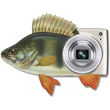MP Fishing Photo Widget icon