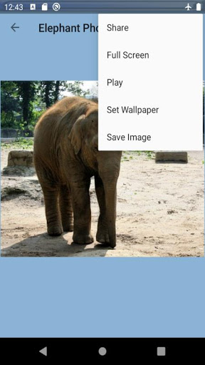 Elephant photos Screen 3