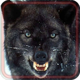 Wolf Black White livewallpaper icon