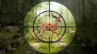 Jungle Deer Hunting Games 3D - Screenshot 3