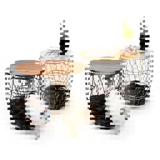 Cat House Header - AppWisp.com