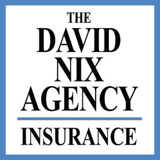 The David Nix Agency Online logo