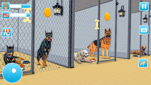 Animal Shelter Dog Rescue Game Screen 3