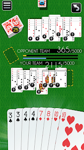 Canasta Multiplayer Card Game Unknown