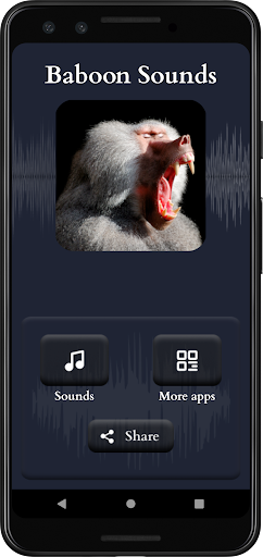 Baboon Sounds Screen 2