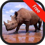 Rhinoceros Sounds icon