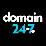 Domain 24-7 icon