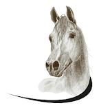 Paard 2015 icon