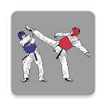 Cover Image of Download AI Taekwondo Coach  APK