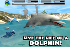 Dolphin Simulatorのおすすめ画像1