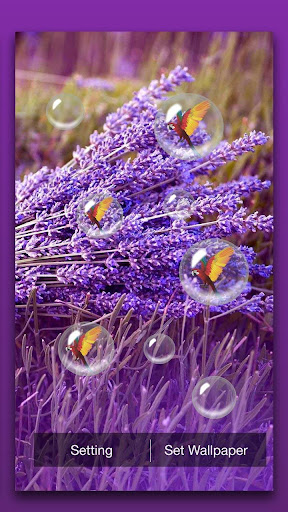 Lavender Live Wallpaper Screen 2