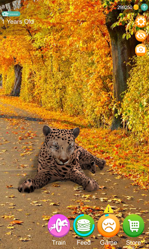 Talking Cheetah Screen 3