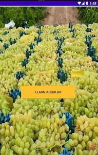 Learn AngularJs
