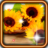 Sunflower Summer livewallpaper icon