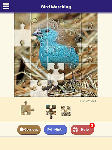 Bird Watching Puzzle