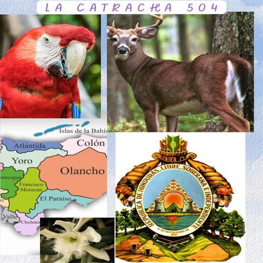 LA CATRACHA 504 logo