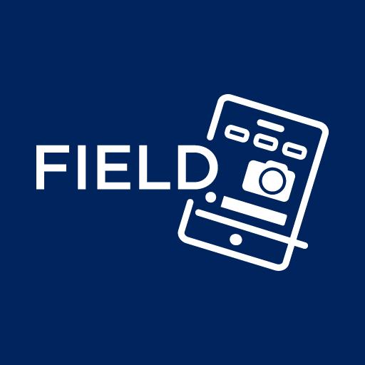 RLB Field  Icon